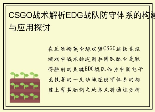 CSGO战术解析EDG战队防守体系的构建与应用探讨